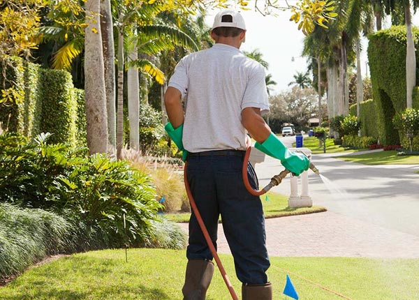 About Croton On Hudson NY Pest Control